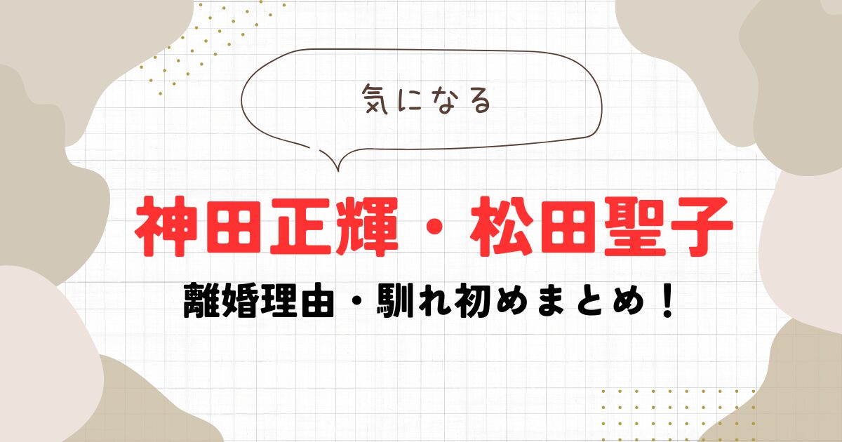 神田正輝と松田聖子(元嫁)の離婚理由・馴れ初めまとめ！意外にも歳の差婚だった！ | サンライコミック